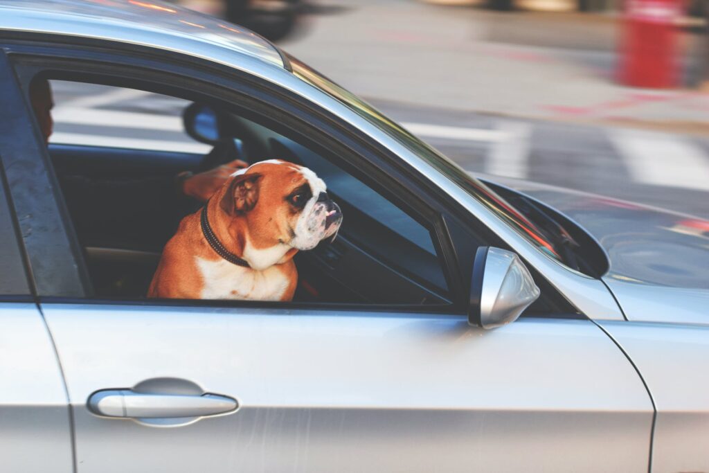 Autopůjčovna Olomouc Autopůjčovna Olomouc